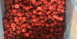 Sprzedam maliny mrożony 80/20 całych. ﻿Opakowanie karton 1x10kg. Dostępne