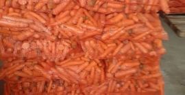 Sprzedam mytą marchew paszową drobną za 30 gr kg.
