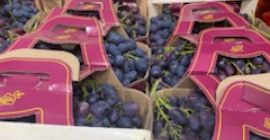 Poszukuję firmy do współpracy która ma możliwość rynku zbytu