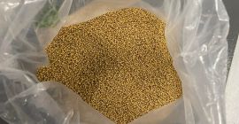 sprzedam gorczyce żółtą jakość spożywcza 399.5% siła kiełkowania 95%