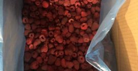 Malina semi-produkt (original) mrożona ,po 10 kg ,cena 4.2€