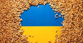 Gospodarka z Ukrainy sprzedaje pszenicę, kukurydzę, rzepak, słonecznik w ilościach od 100 do 1000 ton z każdej uprawy. Oferty rozpatrzymy na warunkach DAP, FCA.