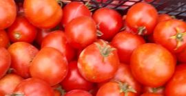Sprzedam pomidory gruntowe oraz tunelowe cena 3 zł za