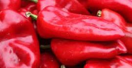 Cena dotyczy pierwszej klasy Aby uzyskać więcej informacji prosimy