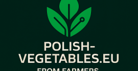 Poszukujemy firm chętnych do pośredniczenia w sprzedaży białej kapusty.