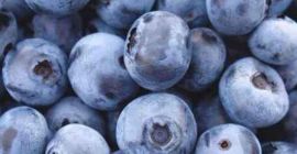 Witam sprzedam świeża jagodę z gór Izerskich ,zbierana codziennie