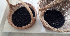 Jeżyny zebrane w górach w rejonie Vallepietra (RM), całkowicie