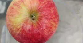 Sprzedam jabłka ekologiczne ,możliwość dowozu w okolicach krasnika 100
