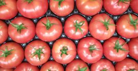 Szanowni Państwo, Jesteśmy zainteresowani współpracą w zakresie dostaw świeżych