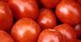 Pomidory polne, idealne na przetwory