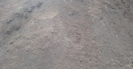 Nasiona czarnego bzu i wiśni doskonale nadają się do