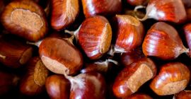 Kasztany MARRONI DOP, od Caprese Michelangelo.