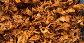 Szukam suszonych kurek. Ilość: 1000-1500kg Jakość: 1 klasa, całe