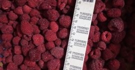 Sprzedam maliny mrożone w jakości 90/10: Malina 90/10 -