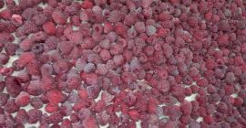 Sprzedam malinę Vilamet.Doskonała jakość.Opakowanie 10-12 kg