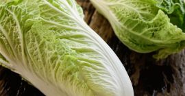 Sprzedaż kapusty pekińskiej prosto od rolnika (cert w bioexpert)
