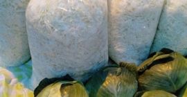Sprzedam kapustę szatkowaną do kiszenia. Szatkowaną pod zamówienia. Bardzo