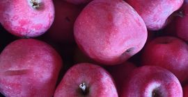 Sprzedam jabłka odmiany florina/idared, konsumpcyjne, zbierane ręcznie, cena 0,4€/kg,