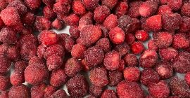 Ekologicznie produkowane, szokowo mrożone truskawki, w Berkovitsa, Bułgaria. Odmiana