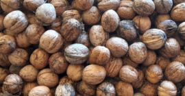 Sprzedam orzechy! Jeśli chcesz większą ilość, musisz przyjechać do