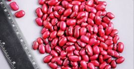 Firma handlowa „Kirgy_beans” z powodzeniem zajmuje się eksportem produktów