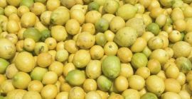 Kupimy cytrynę, pomarańczę, mandarynkę, limonkę, grejpfruta czerwonego, II -