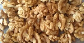 Sprzedajemy do wszystkich krajów Europy! Sprzedaż hurtowa jądra orzecha