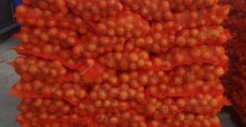 SPRZEDAM CEBULĘ (5+Kalibre): 100% rumuńska jakość Eco I Cebula