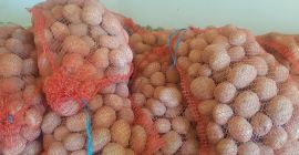Sprzedam ziemniaki vineta. Pakowane w worki 15kg oraz 30