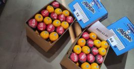 Wysokiej jakości egipska pomarańcza. Bezpośrednio od producenta. Minimalne zamówienie