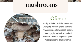 Grzyby Shiitake z Polskiej Pieczarkarni Oferujemy Państwu grzyby Schiitake