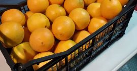 Sprzedam Hiszpańską pomarańcze neveline,bardzo słodka bez pestki kaliber 3,4  towar we wtorek w Polsce,możliwy dowóz