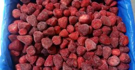 Na sprzedaż truskawka mrożona kaliber 26-35mm. Pakowane w kartony
