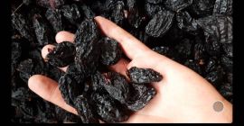 Sprzedam śliwki suszone ze skórką i bez