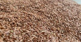 W NAJWYŻSZEJ JAKOŚCI KAWIARNI. PO SZCZEGÓŁY +37369204321 WHATSAPP/VIBER .