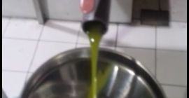 WYSOKIEJ JAKOŚCI OLIWA Z OLIWEK. Z własnego lasu oliwnego