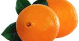 Mamy różne rodzaje: pomarańczy, walencji, nektarynek, pępka wysokiej jakości