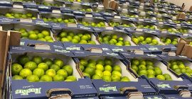 Limonki Tahiti Cena EXW Rotterdam: 8,5 EUR/4,5 KG Marka: