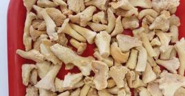 Oferujemy wysokiej jakości mrożone kurki o kalibrze 20–40 mm.