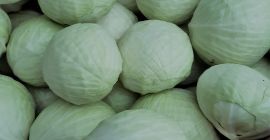 Witam, sprzedam kapustę białą marketową 1-4 kg ilości tirowe