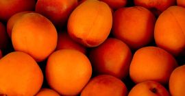 Jeden z czołowych greckich producentów moreli, wiśni, brzoskwiń, kiwi,