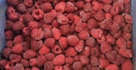 Vilamet klasa 1 90/10 posiada CERTYFIKAT ECOCERT pakiet 11/1