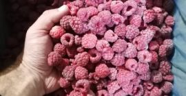 Rolend 95/5, 5 t, 4,25 eur Oryginał 80,20, 20