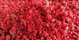 SPRZEDAM MALINY MROŻONE. 90/10.80/10 GRYS