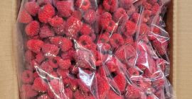 Sprzedam maliny mrożone 95/5 %, karton 10 kg (4