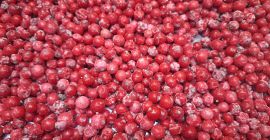 Oferujemy na sprzedaż porzeczki czerwone mrożone kl. 1 i