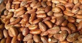 Dzień dobry, nazywam się Ezekiel Ozabor, reprezentuję firmę ZISONA