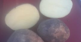 Hello gentlemen, I will buy potatoes 200-250 t/month. caliber