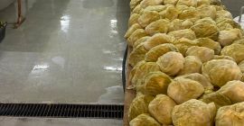Wielkość głowy wynosi od 1,3 do 2,5 kg.