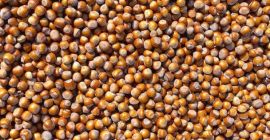 Witam, Sprzedaje orzech laskowy cale , pochodzenia Gruzja, kaliber